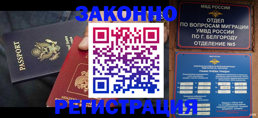 прописка законно в Кингисеппе